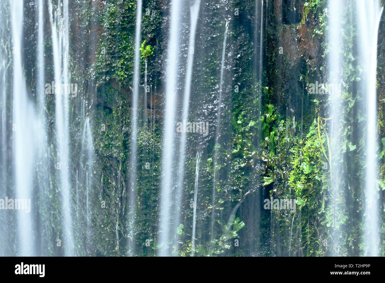 Le bellezze naturali della caduta di acqua all'interno della foresta andina in un flusso denominato Miraflores si trova nelle montagne. Foto Stock