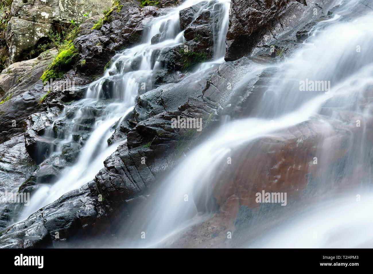 Le bellezze naturali della caduta di acqua all'interno della foresta andina in un flusso denominato Miraflores si trova nelle montagne. Foto Stock