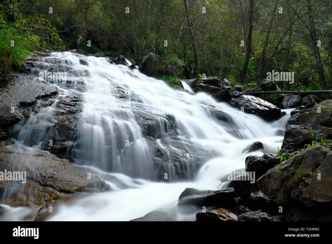 Le bellezze naturali della caduta di acqua all'interno della foresta andina in un flusso denominato Miraflores si trova nelle montagne. Foto Stock