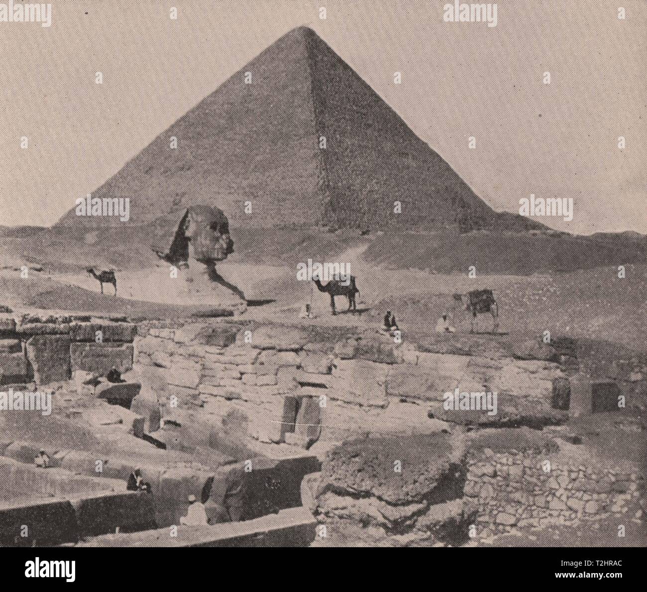 Grande Pyramid-Sphinx Foto Stock
