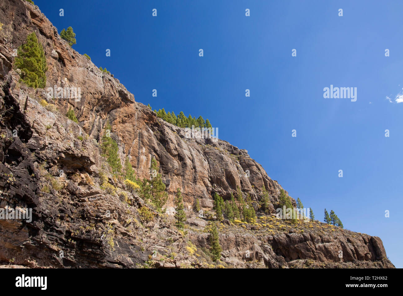 Gran Canaria, Marzo, vista da un vecchio sentiero escursionistico Camino de la Plata verso le scogliere Riscos de Tirajana Foto Stock