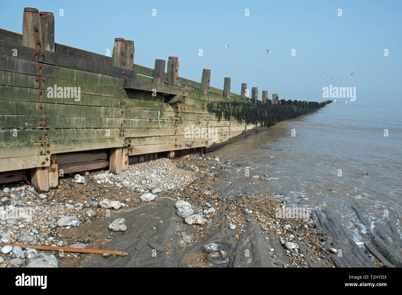 Cromer pennelli, del Mare del Nord. Foto Stock