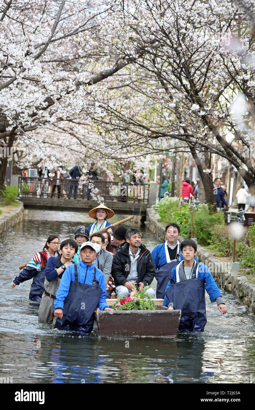 I visitatori sono trainati in una barca verso il basso un piccolo canale in Kiyamachi-dori Street per visualizzare la fioritura dei ciliegi a Kyoto, Giappone Foto Stock