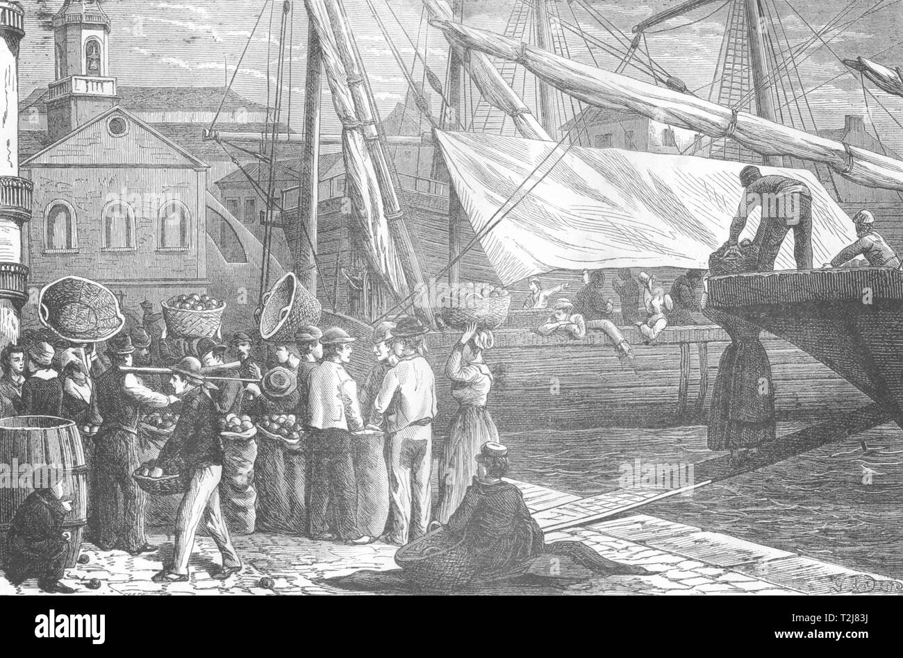 BOUCHES-DU-Rhône. Marsiglia. Le debarquement des arance 1880 antica stampa Foto Stock