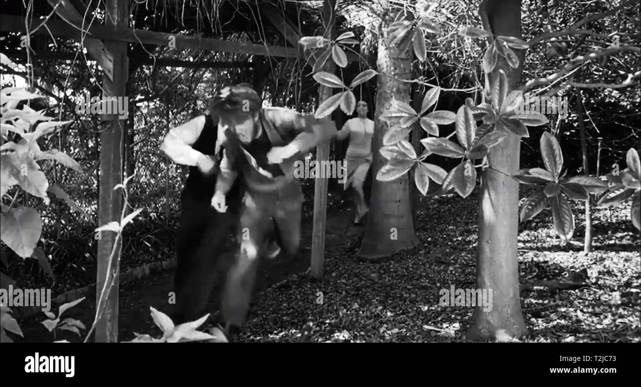 Screaming Skull è un 1958 effettuata autonomamente American in bianco e nero film horror, prodotta da John Kneubuhl, T. Frank boschi, e John folaghe e diretto da Alex Nicol, che stelle John Hudson, Peggy Webber, Russ Conway, Tony Johnson e Nicol. Screaming Skull contrassegnato Nicol il debutto direttoriale; egli ha deciso di provare, perché egli si sentiva non agendo in ruoli che egli ha voluto. Foto Stock