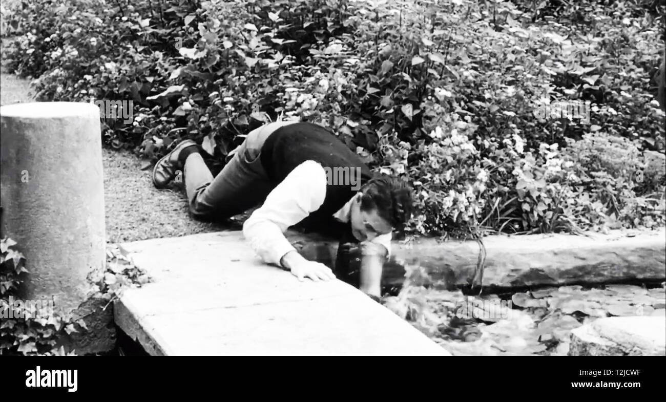 Screaming Skull è un 1958 effettuata autonomamente American in bianco e nero film horror, prodotta da John Kneubuhl, T. Frank boschi, e John folaghe e diretto da Alex Nicol, che stelle John Hudson, Peggy Webber, Russ Conway, Tony Johnson e Nicol. Screaming Skull contrassegnato Nicol il debutto direttoriale; egli ha deciso di provare, perché egli si sentiva non agendo in ruoli che egli ha voluto. Foto Stock