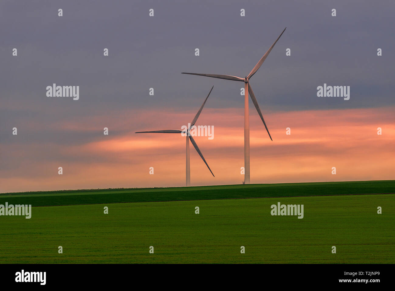 Eolian turbine utilizzate per produrre energia verde visto da un campo di grano in primavera in Romania Foto Stock