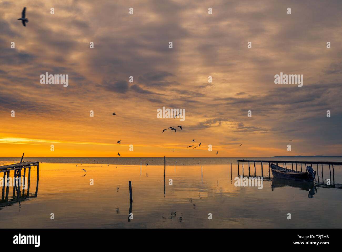 Il lago di scena al mattino all'alba con gli uccelli che volano sopra il lago e una barca vicino a un pontone shot in Romania Foto Stock