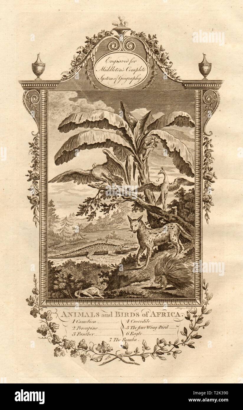 Animali africani & Uccelli. Chameleon Porcupine Panther Coccodrillo 4-ala bird 1779 Foto Stock