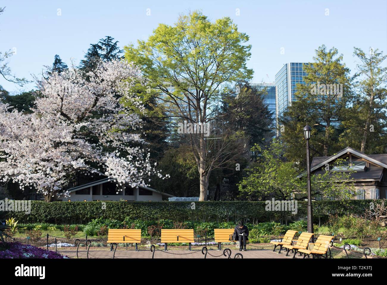 Panchine nel Parco Hibiya a Tokyo in Giappone. Foto Stock