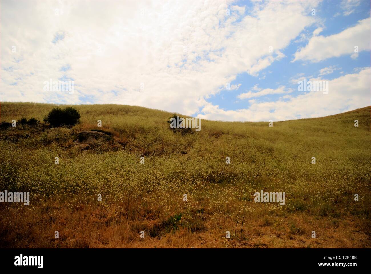 Un colpo lungo ofa scena da ampi pascoli in montagna a cielo nuvoloso Foto Stock