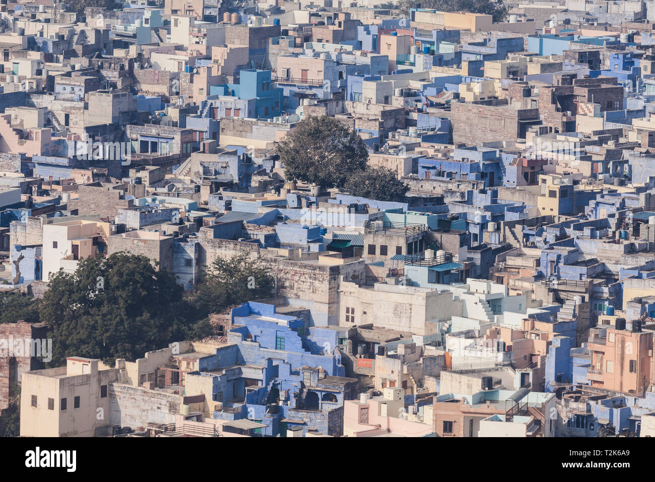 Jodhpur, Rajasthan, India, Asia Foto Stock