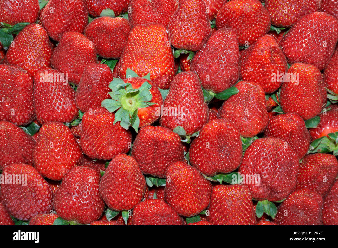 Le fragole non sono i frutti di bosco. Un sacco di frutta per la vendita in un mercato di strada. Foto Stock