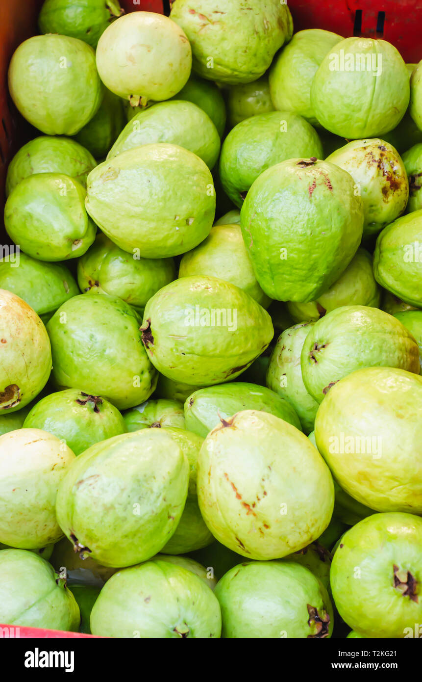 Immagine della guaiava verde per la vendita in un mercato impilati Foto Stock