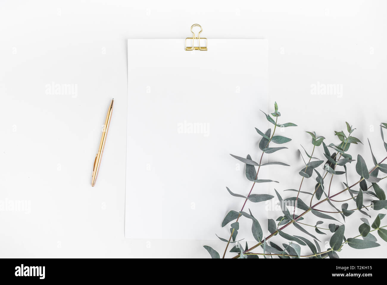 Vista superiore della notepaper bianco con impianto di eucalipto su piano di lavoro.stile minimalista per la creatività disign Foto Stock
