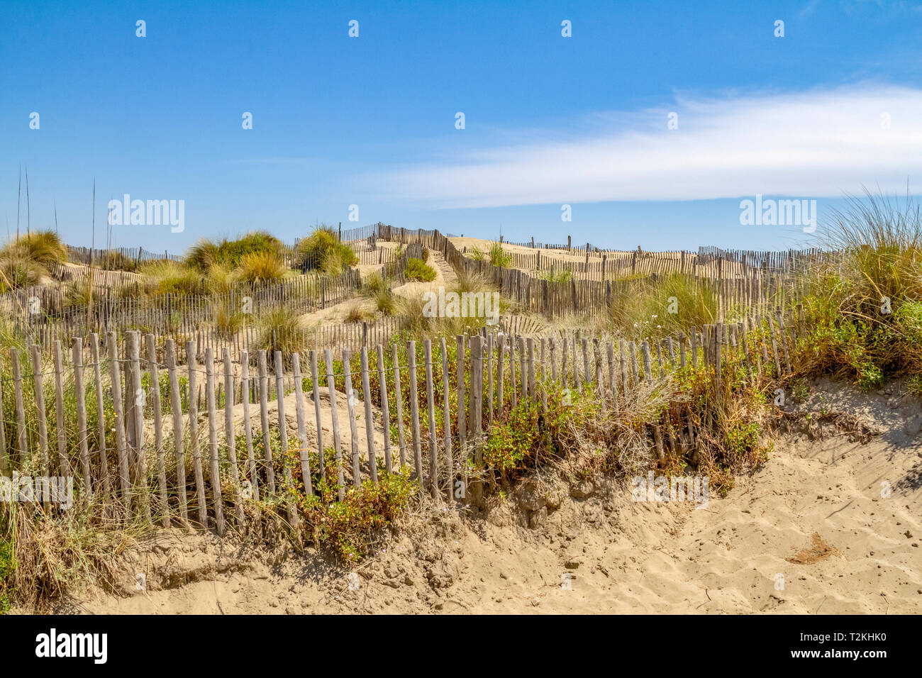 Scenario soleggiato presso la spiaggia Espiguette nel sud della Francia Foto Stock