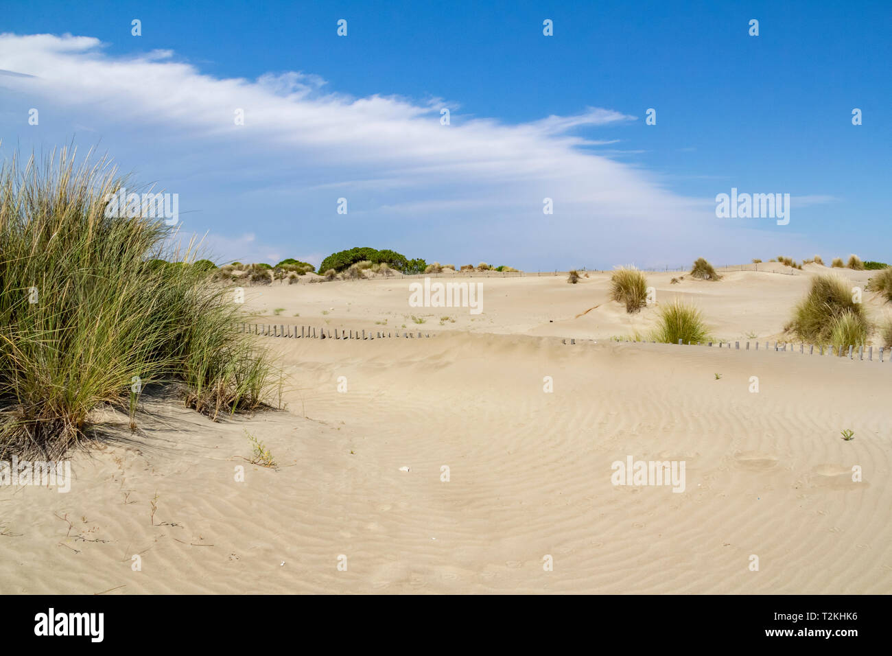 Scenario soleggiato presso la spiaggia Espiguette nel sud della Francia Foto Stock