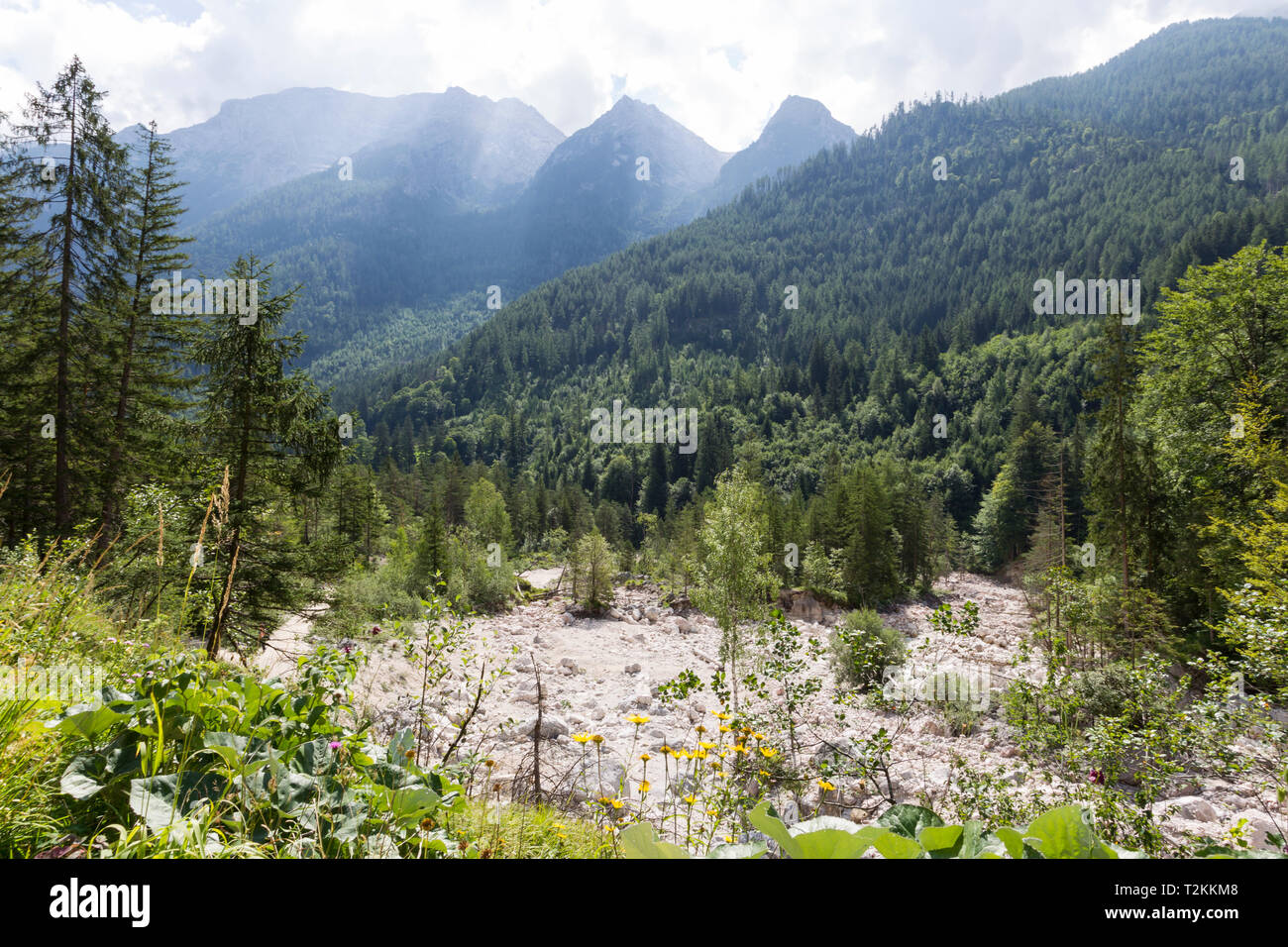 Wanderung von Bindalm zur Halsalm und zurück zum Hintersee Foto Stock