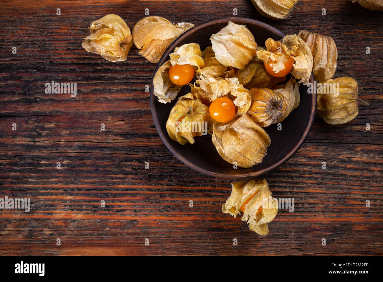 Ribes del capo con calice, spazio per il testo, laici piatta Foto Stock