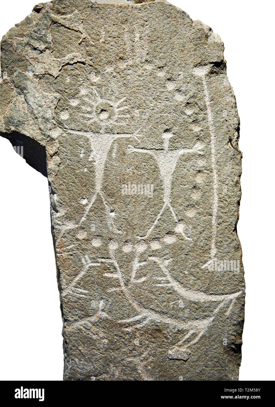 Petroglifi preistorici, incisioni rupestri, di disegni geometrici scolpiti dalla preistoria Camuni persone, Museo della Preistoria in Val Camonica, Italia Foto Stock