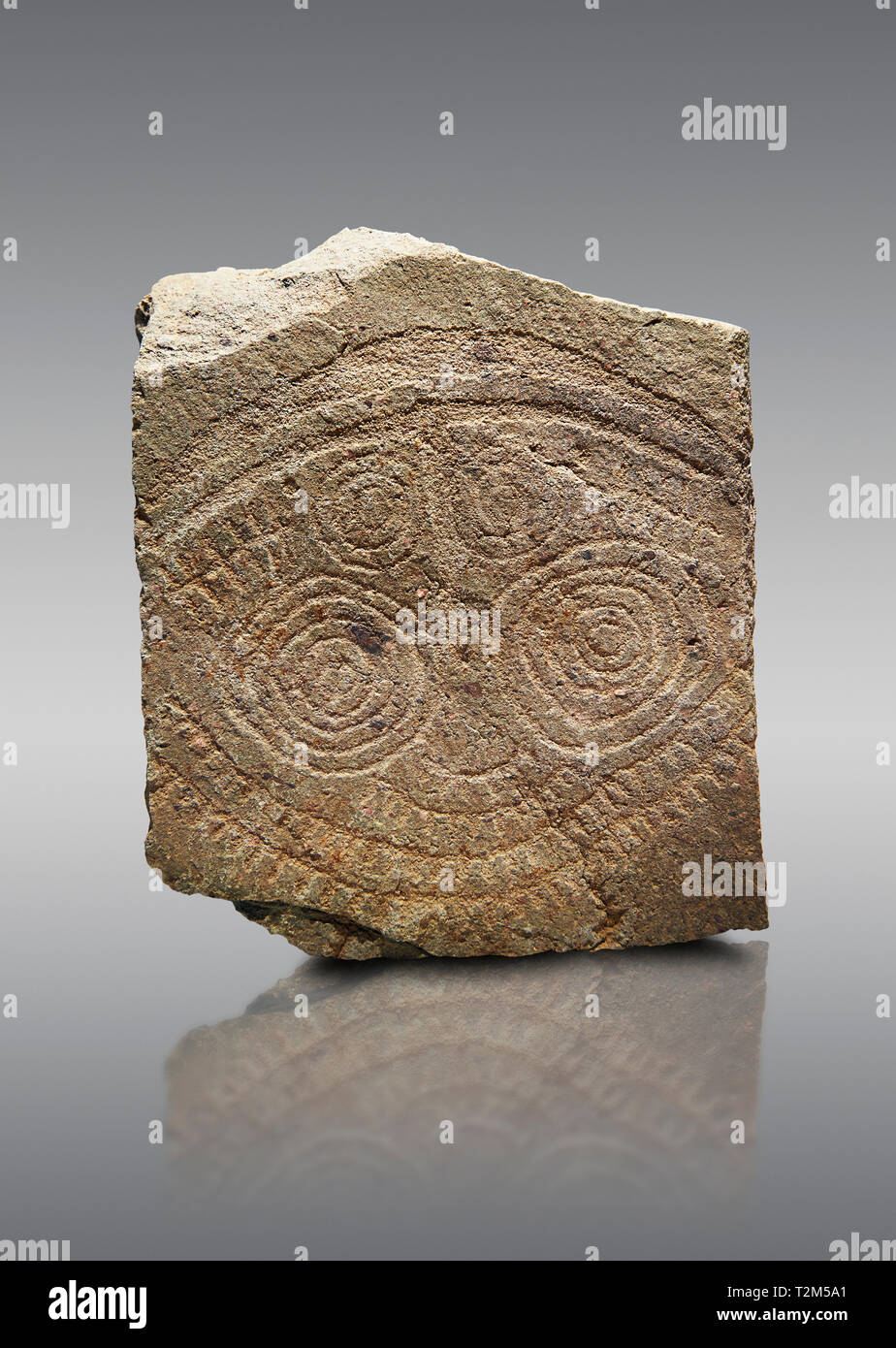 Petroglifi preistorici, incisioni rupestri, di disegni geometrici scolpiti dalla preistoria Camuni persone, Museo della Preistoria in Val Camonica, Italia Foto Stock