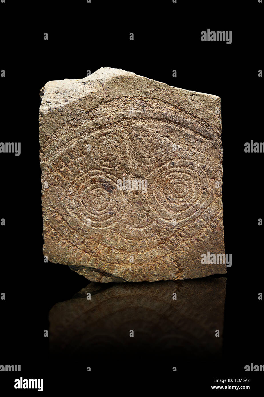 Petroglifi preistorici, incisioni rupestri, di disegni geometrici scolpiti dalla preistoria Camuni persone, Museo della Preistoria in Val Camonica, Italia Foto Stock