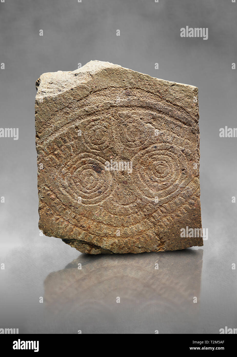 Petroglifi preistorici, incisioni rupestri, di disegni geometrici scolpiti dalla preistoria Camuni persone, Museo della Preistoria in Val Camonica, Italia Foto Stock