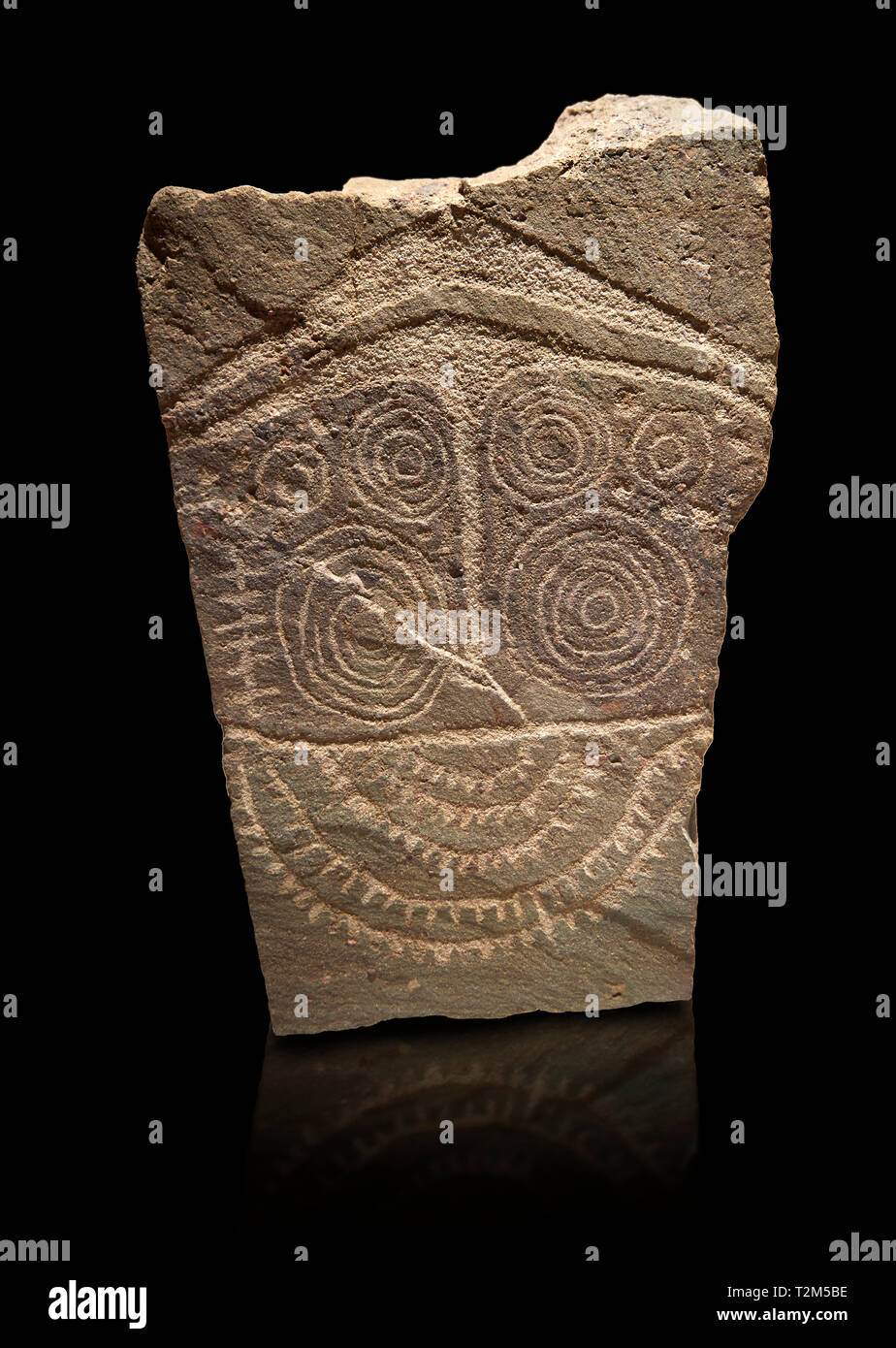 Petroglifi preistorici, incisioni rupestri, di disegni geometrici scolpiti dalla preistoria Camuni persone, Museo della Preistoria in Val Camonica, Italia Foto Stock