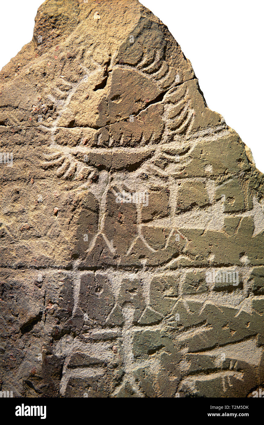 Petroglifi preistorici, incisioni rupestri, di disegni geometrici scolpiti dalla preistoria Camuni persone, Museo della Preistoria in Val Camonica, Italia Foto Stock