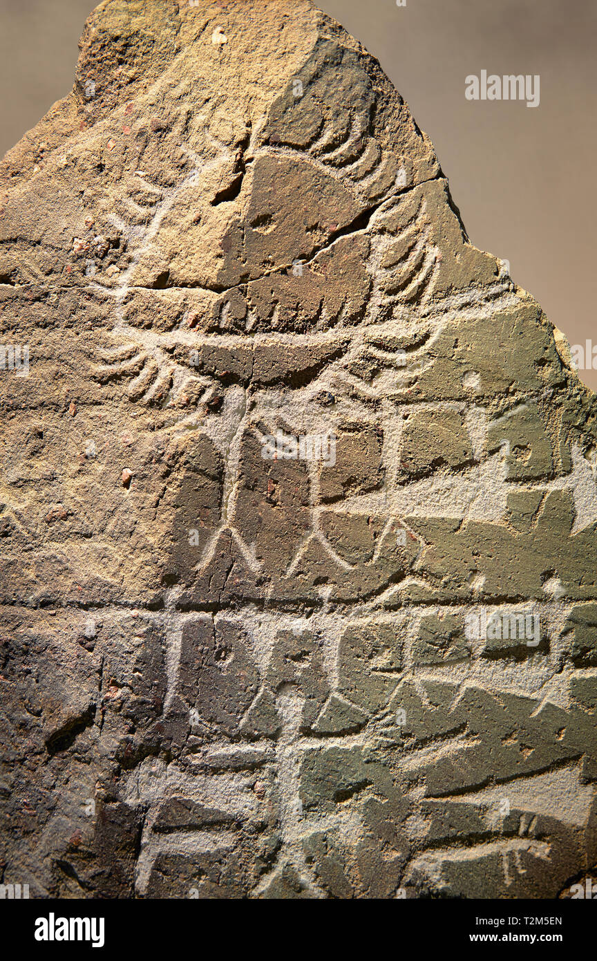 Petroglifi preistorici, incisioni rupestri, di disegni geometrici scolpiti dalla preistoria Camuni persone, Museo della Preistoria in Val Camonica, Italia Foto Stock