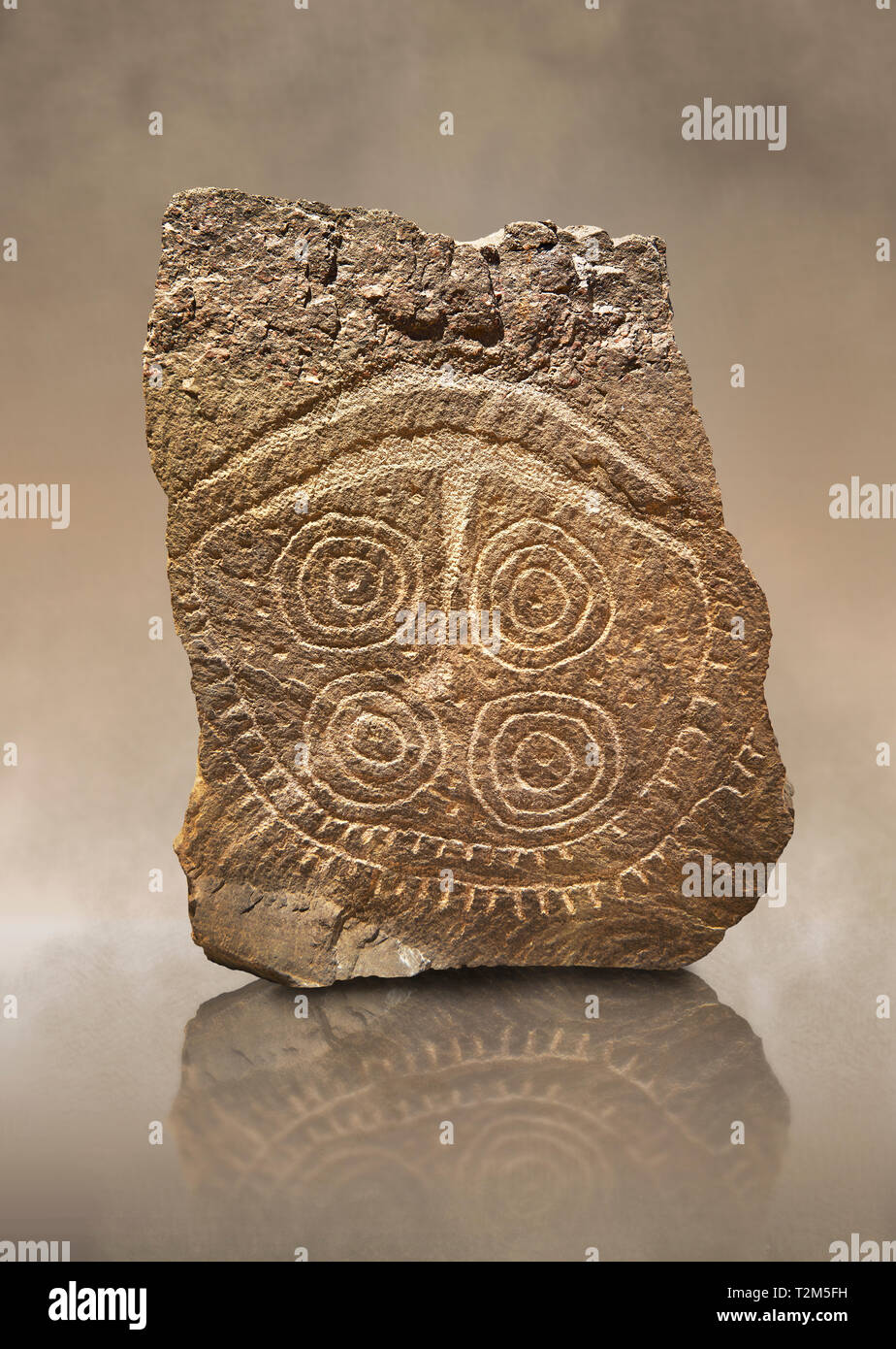 Petroglifi preistorici, incisioni rupestri, di disegni geometrici scolpiti dalla preistoria Camuni persone, Museo della Preistoria in Val Camonica, Italia Foto Stock