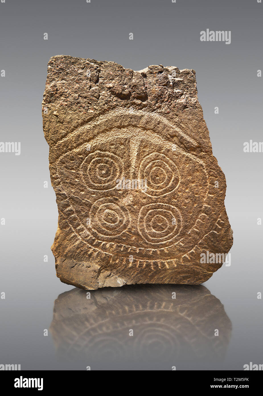Petroglifi preistorici, incisioni rupestri, di disegni geometrici scolpiti dalla preistoria Camuni persone, Museo della Preistoria in Val Camonica, Italia Foto Stock