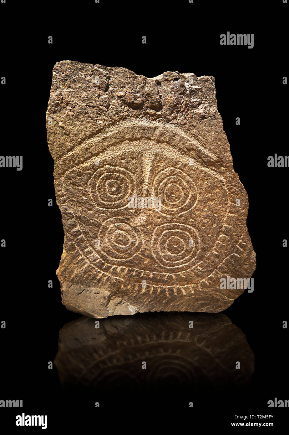 Petroglifi preistorici, incisioni rupestri, di disegni geometrici scolpiti dalla preistoria Camuni persone, Museo della Preistoria in Val Camonica, Italia Foto Stock