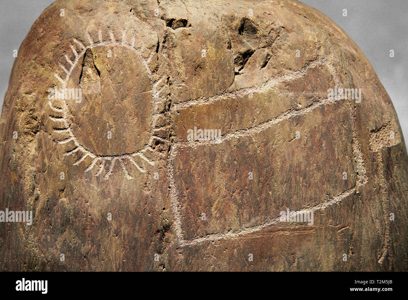 Petroglifi preistorici, incisioni rupestri, di disegni geometrici scolpiti dalla preistoria Camuni persone, Museo della Preistoria in Val Camonica, Italia Foto Stock