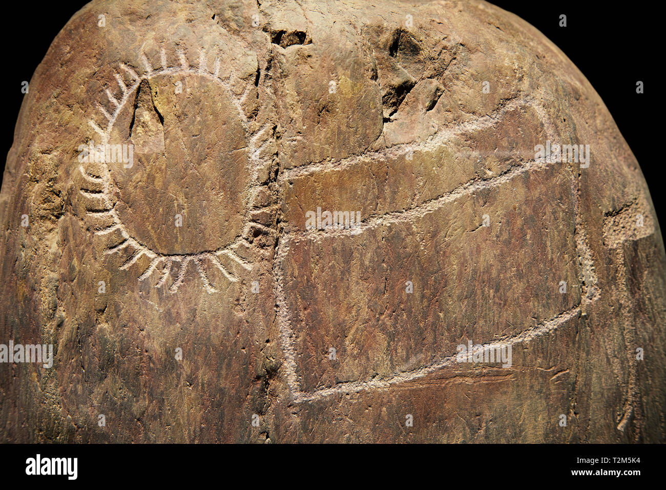 Petroglifi preistorici, incisioni rupestri, di disegni geometrici scolpiti dalla preistoria Camuni persone, Museo della Preistoria in Val Camonica, Italia Foto Stock