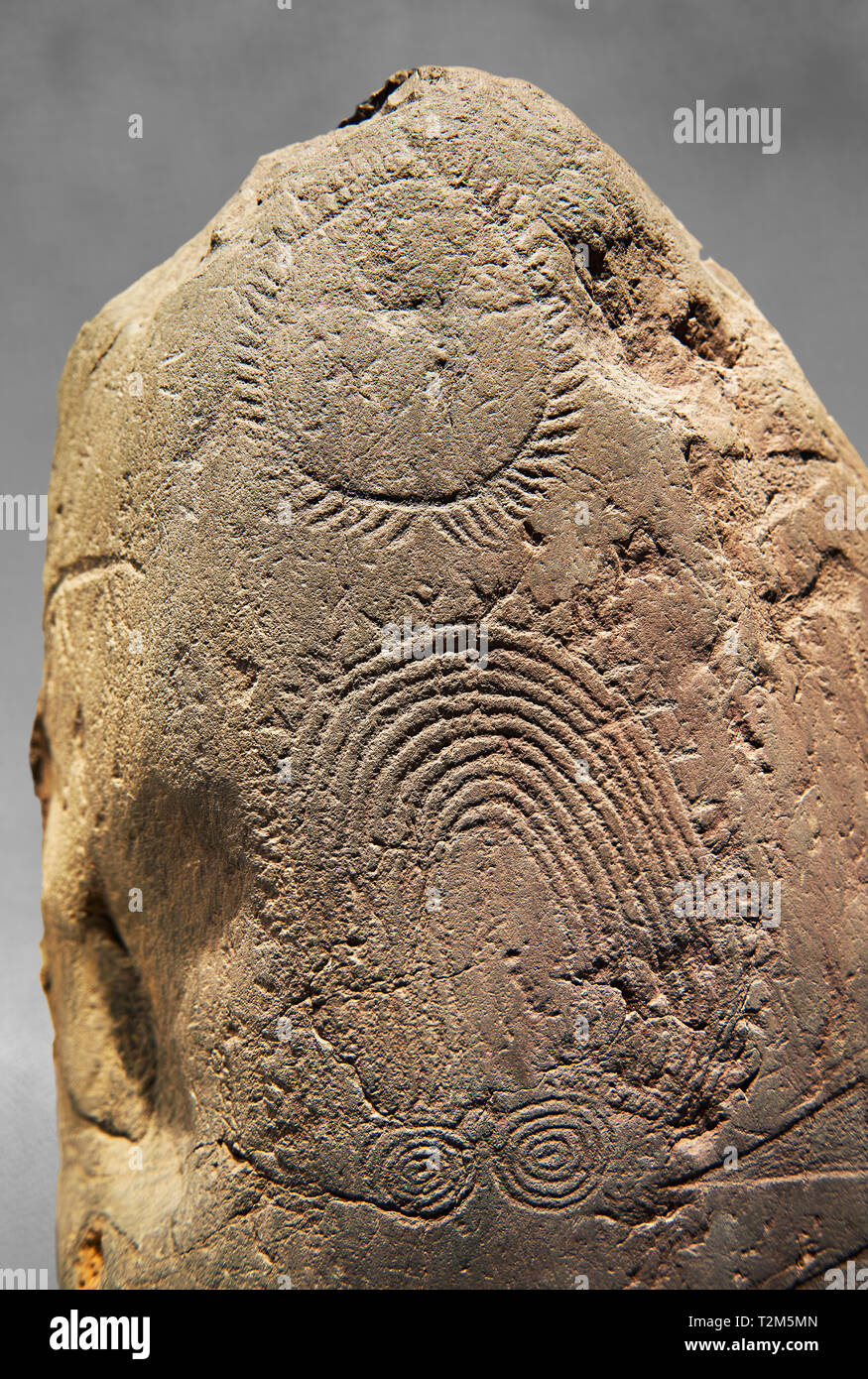 Petroglifi preistorici, incisioni rupestri, di disegni geometrici scolpiti dalla preistoria Camuni persone, Museo della Preistoria in Val Camonica, Italia Foto Stock