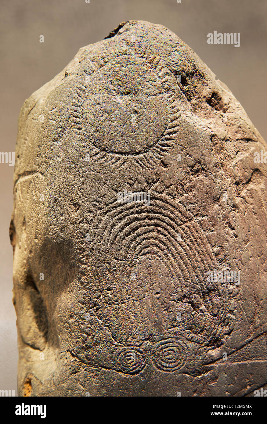 Petroglifi preistorici, incisioni rupestri, di disegni geometrici scolpiti dalla preistoria Camuni persone, Museo della Preistoria in Val Camonica, Italia Foto Stock