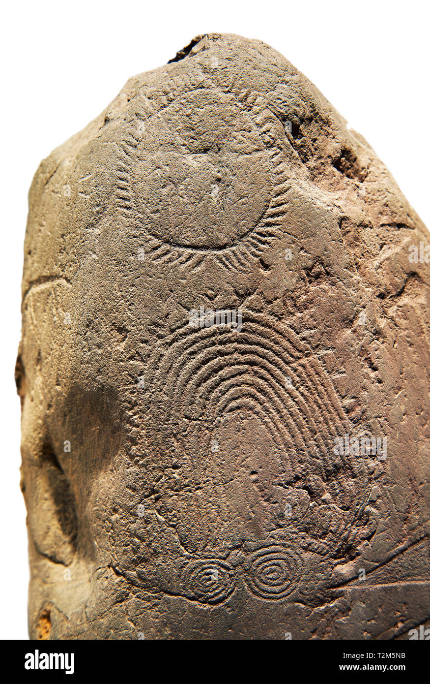 Petroglifi preistorici, incisioni rupestri, di disegni geometrici scolpiti dalla preistoria Camuni persone, Museo della Preistoria in Val Camonica, Italia Foto Stock