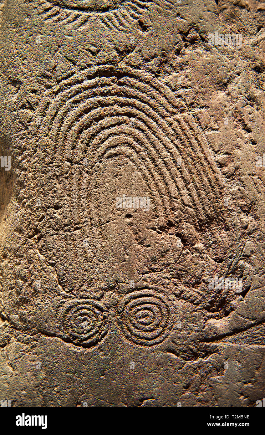 Petroglifi preistorici, incisioni rupestri, di disegni geometrici scolpiti dalla preistoria Camuni persone, Museo della Preistoria in Val Camonica, Italia Foto Stock