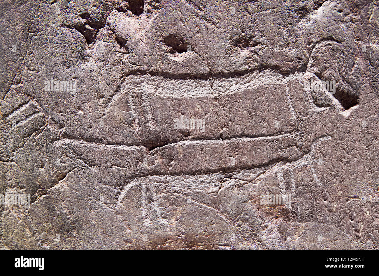 Petroglifi preistorici, incisioni rupestri, di disegni geometrici scolpiti dalla preistoria Camuni persone, Museo della Preistoria in Val Camonica, Italia Foto Stock