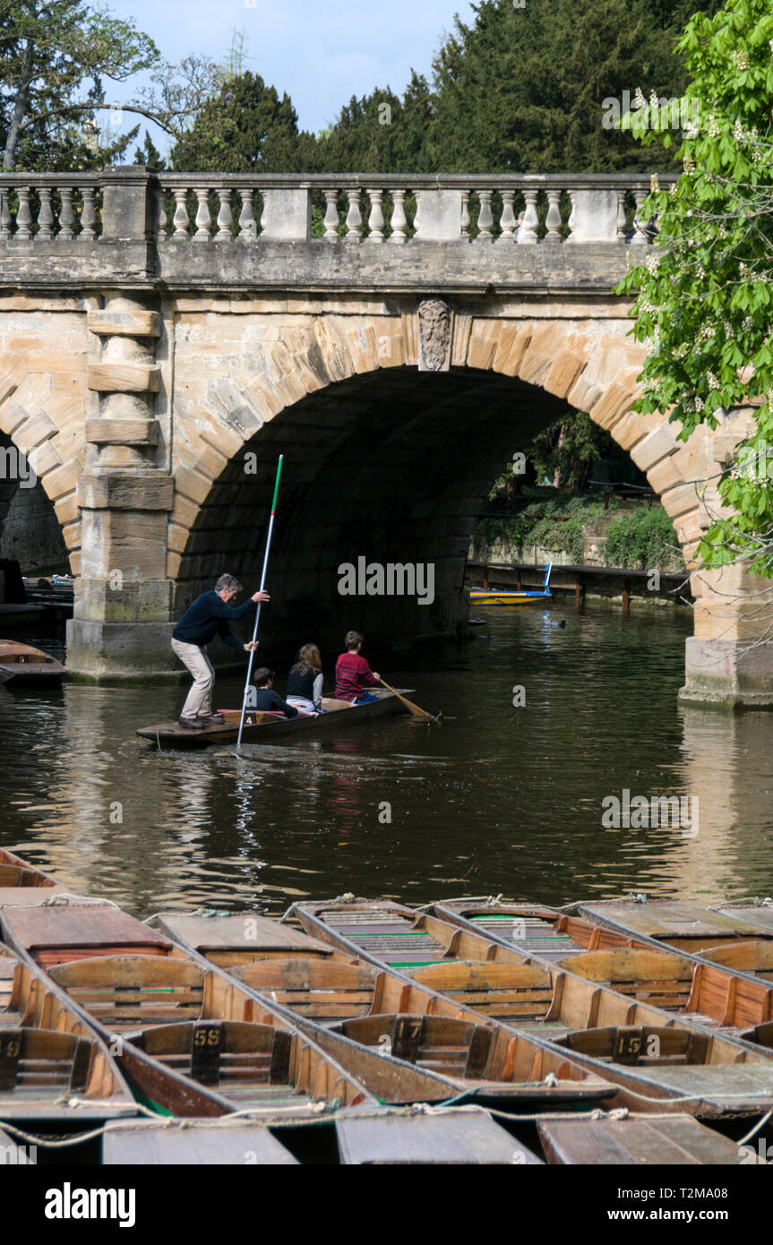 Punting sul fiume Cherwell avvicinando Magdalen Bridge in Oxford, Regno Unito Foto Stock