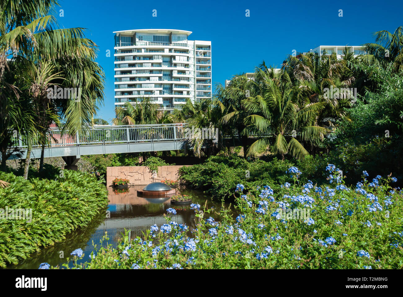 Gli appartamenti che si affaccia su uno stagno di Brisbane Botanical Gardens Foto Stock