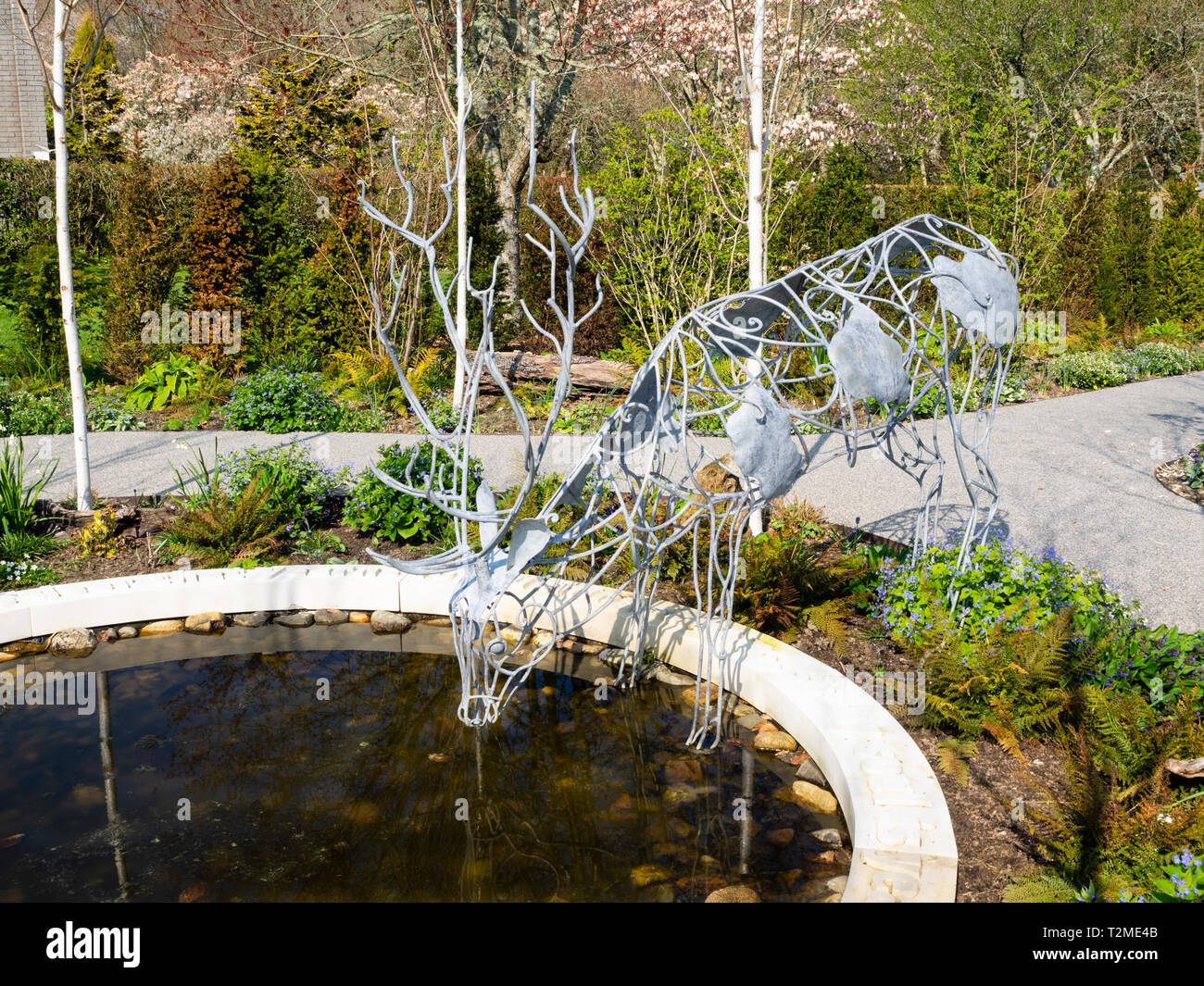 Wirework stag da David Freedman in posizione potabile nel giardino Millenium a Buckfast Abbey, Devon, Regno Unito Foto Stock