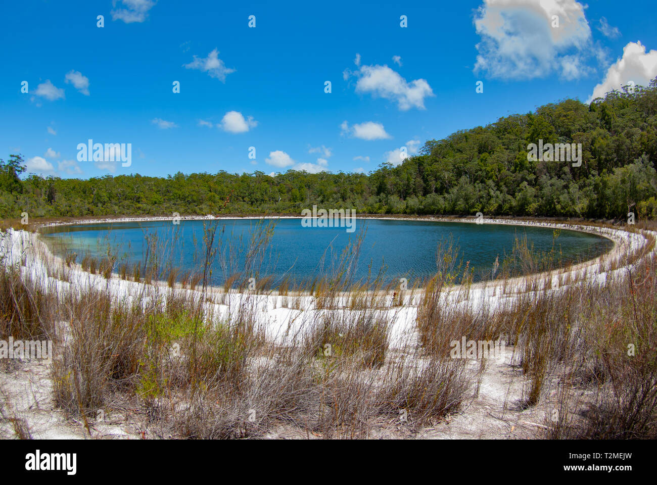 Isola di Fraser è costellato da numerosi piccoli laghi, tutti di loro acque cristalline e perfette spiagge di sabbia bianca. Foto Stock