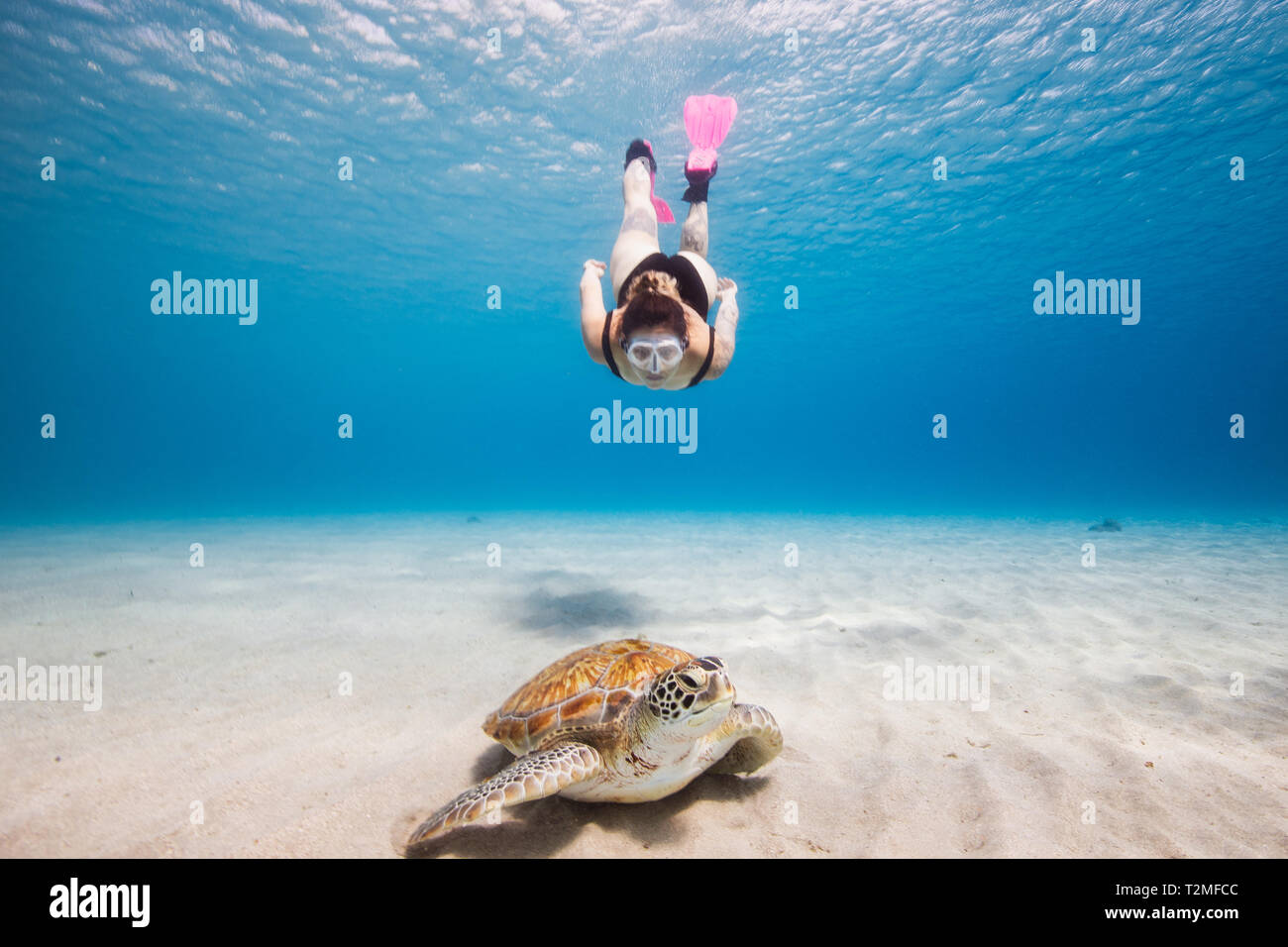 Donna nuoto verso la tartaruga verde, Curacao Foto Stock