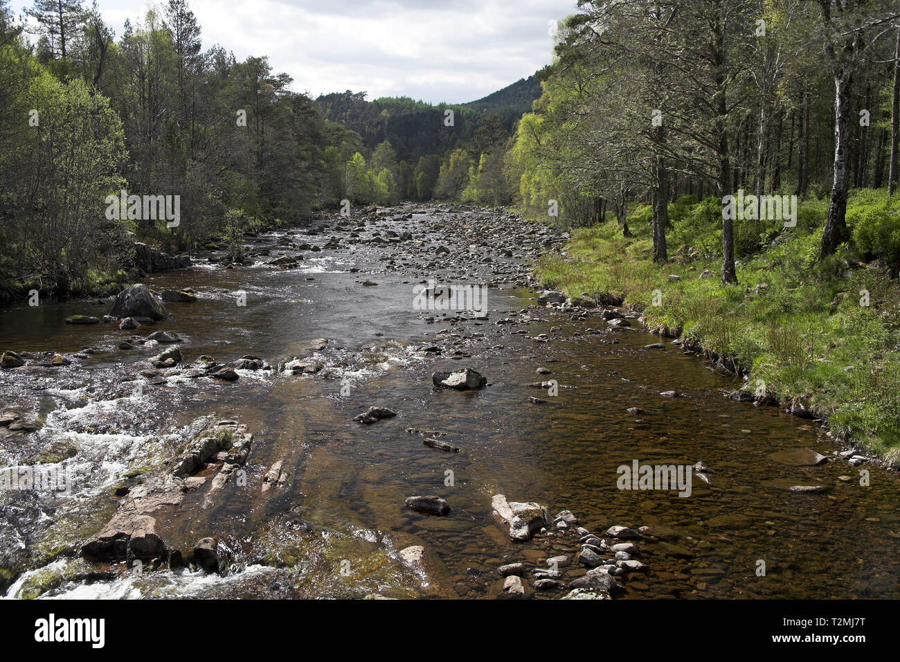 Fiume Affric Glen Affric Riserva Naturale regione delle Highlands della Scozia Foto Stock