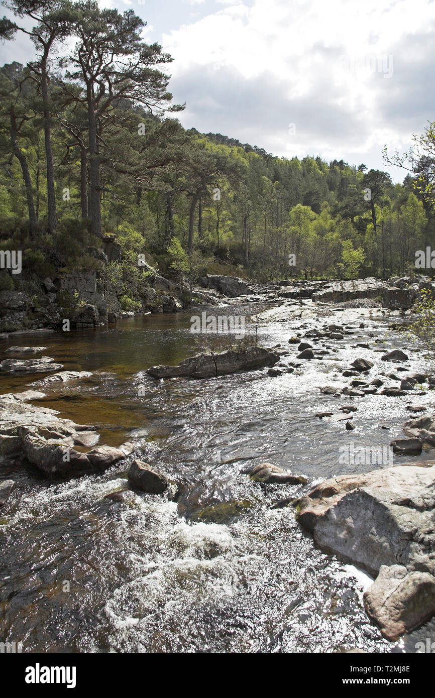 Fiume Affric Glen Affric Riserva Naturale regione delle Highlands della Scozia Foto Stock