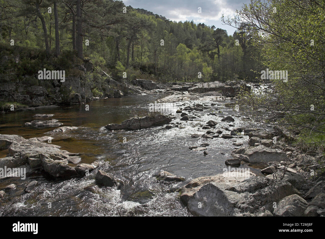 Fiume Affric Glen Affric Riserva Naturale regione delle Highlands della Scozia Foto Stock