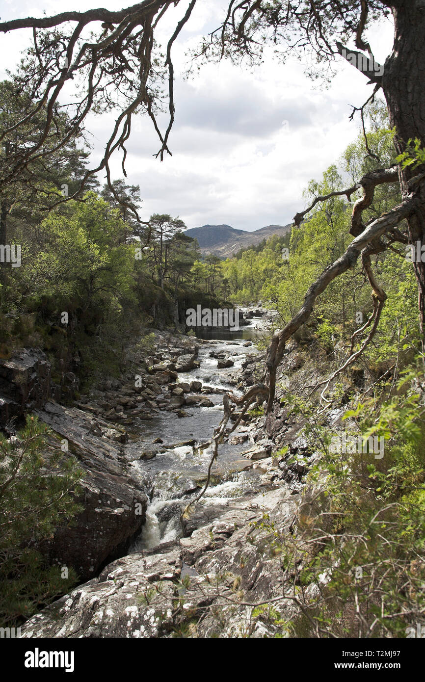 Dog Falls River Glen Affric Affric Riserva Naturale regione delle Highlands della Scozia Foto Stock