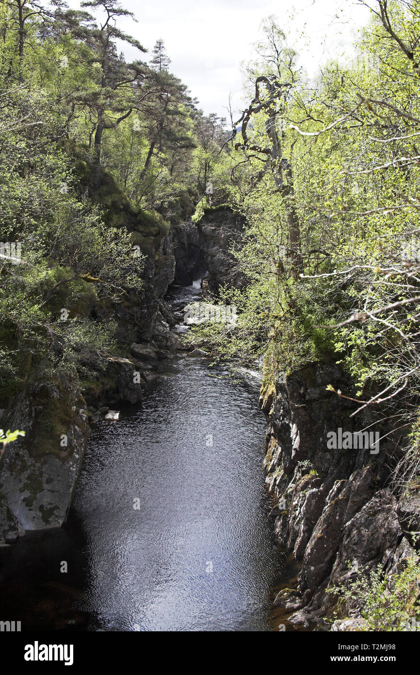 Dog Falls River Glen Affric Affric Riserva Naturale regione delle Highlands della Scozia Foto Stock